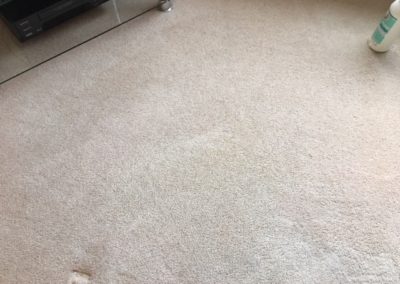 Cleaning chertsey carpets