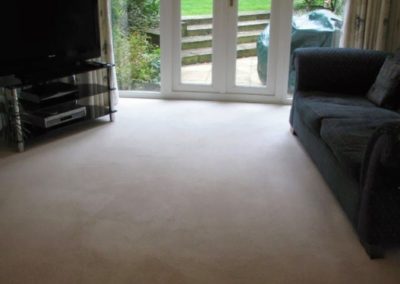 Carpet Cleaning Molesey